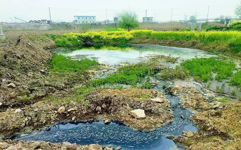 黑龍江省2024年農(nóng)村生活污水、黑臭水體治理工作方案出爐！