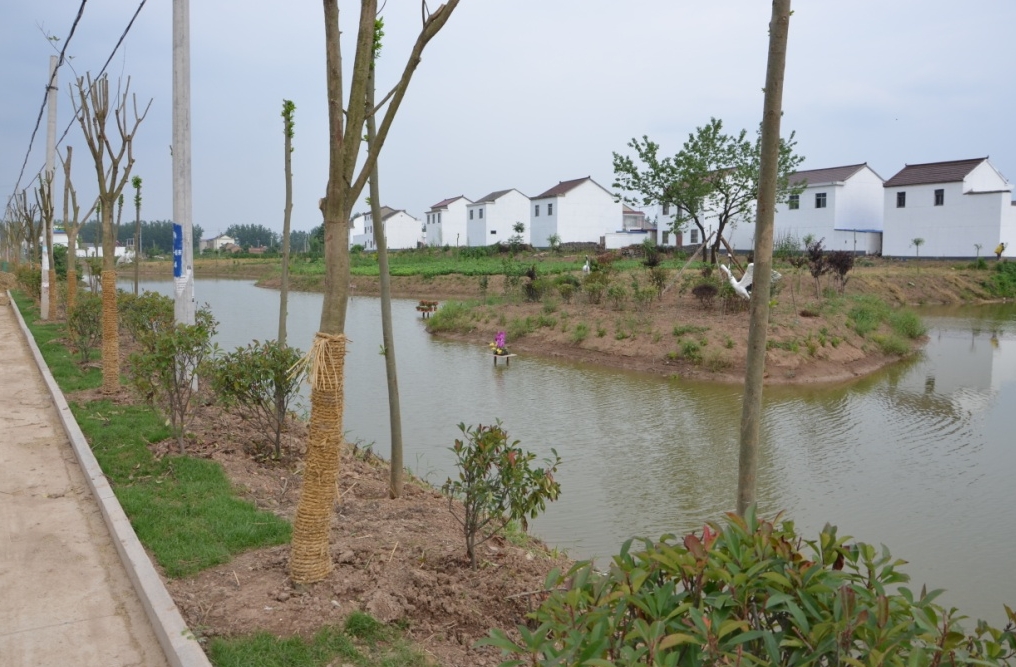 《農村黑臭水體治理工作指南》來了！