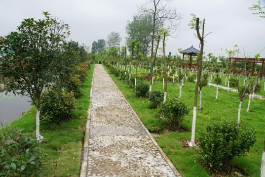 福建省生態環境廳、農業農村廳關于進一步加強農村生活污水治理工作的通知！